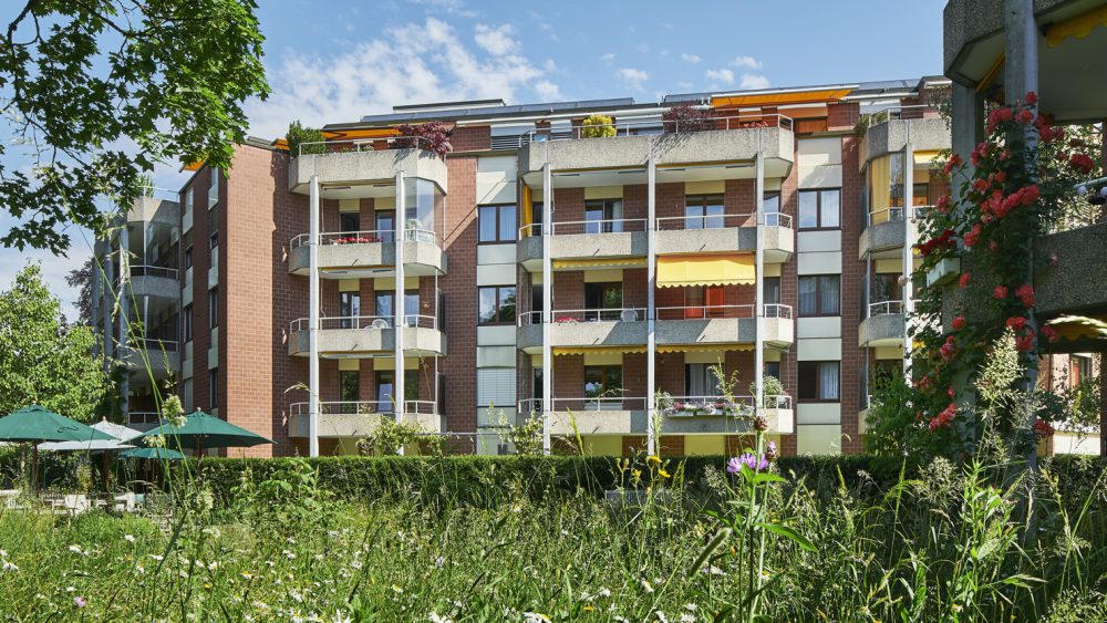 Elfenau Park 2020 8503110 WEB